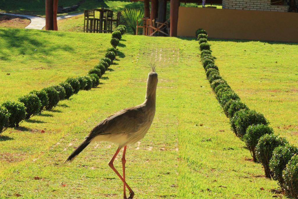 Pousada Boyrá Bonito (Mato Grosso do Sul) Exterior foto