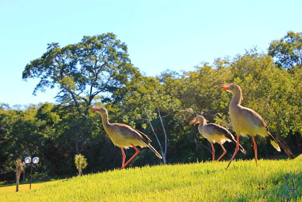 Pousada Boyrá Bonito (Mato Grosso do Sul) Exterior foto